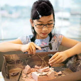 4M - KidzLabs - Dig A Dinosaur Skeleton - Pteranodon