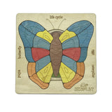 Ekoplay - Life Cycle of a Butterfly Multi-layered Jigsaw Puzzle