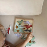 Moover - Hidden Dinosaur Puzzle