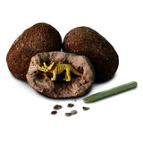 Dig it Up! - Dinosaur Egg