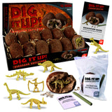 Dig it Up! - Dinosaur Egg
