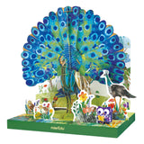 mierEdu - 3D Eco Puzzle - Peacock