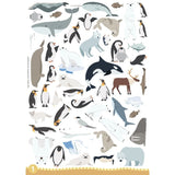 Sassi Arts & Craft Kit - Animals