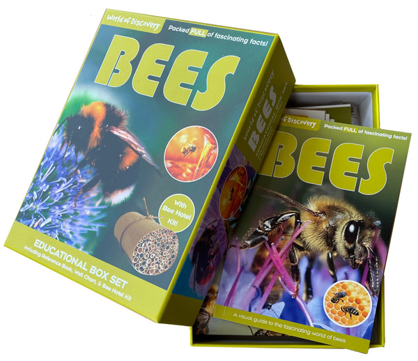 World of Discovery - Educational Box Set - Bees