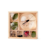 Kikkerland - Great Outdoors - Bug Box