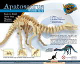 Wood Kit Dinosaur | Small | Apatosaurus