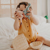 Olli Ella - Holdie Folk Set - Felt Dinosaurs