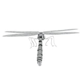 Metal Earth - Insects - Dragonfly