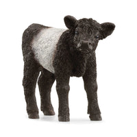 Schleich - Galloway Calf 13969