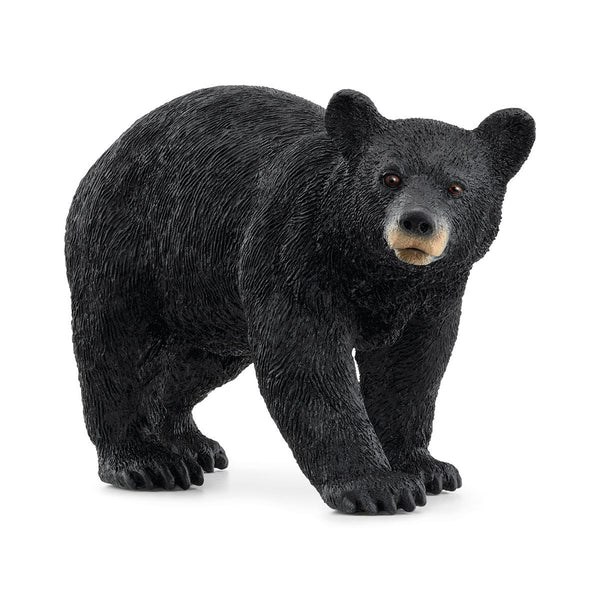 Schleich - American Black Bear 14869