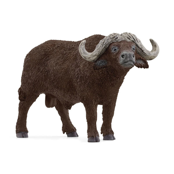 Schleich - African Buffalo 14872