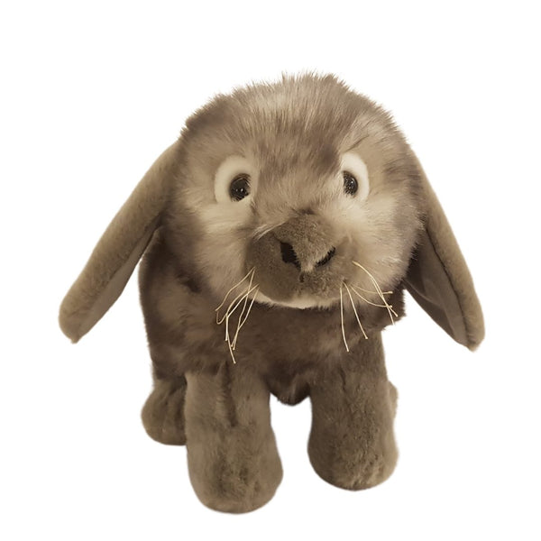 "Smokey" the Grey Lop-eared Rabbit