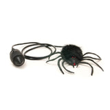 House of Marble - Lord Phartwell's - Hairy Scary Jumping Spider