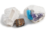 British Fossils - Dig Your Own Minerals Kit