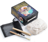 British Fossils - Dig Your Own Minerals Kit