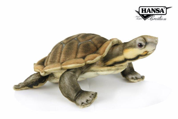 Hansa Creations - Manning River Turtle