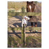 Goki - Caila - Spotted Hobby Horse With Rainbow Reins