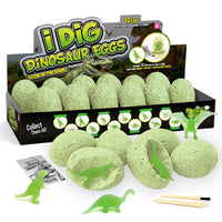 Glow in the Dark Dinosaur Egg