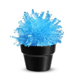 Crystal Cactus Growing Kit