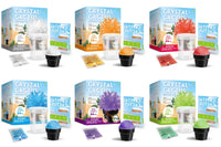 Crystal Cactus Growing Kit