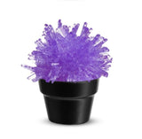 Crystal Cactus Growing Kit