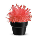 Crystal Cactus Growing Kit