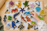 Fridge Magnets - Australian Sea Animals