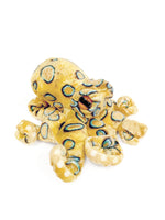 Folkmanis -  Mini Blue-Ringed Octopus