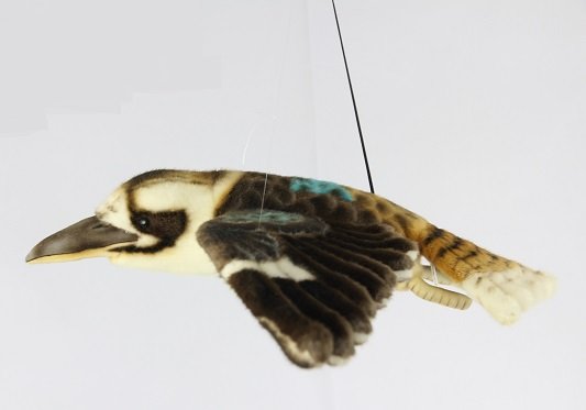 Hansa Creations - Flying Kookaburra 65cm Wingspan