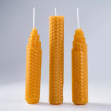 Creator - Make Your Own Beeswax Candle