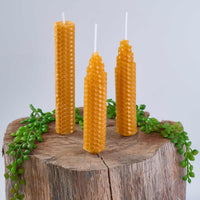 Creator - Make Your Own Beeswax Candle