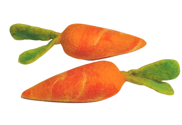 Felt Fruits & Vegetables - Carrot