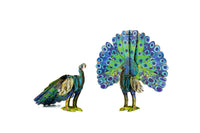 mierEdu - 3D Eco Puzzle - Peacock