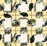Squzzle Puzzle Australian Birds