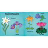 Sassi 3D Puzzle and Book Set - Learn Shapes Flowers, 40 pcs