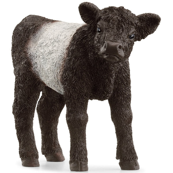 Schleich - Galloway Calf 13969