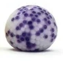 TNW - Orb Stress ball