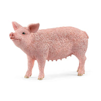 Schleich - Pig 13933