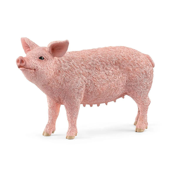 Schleich - Pig 13933