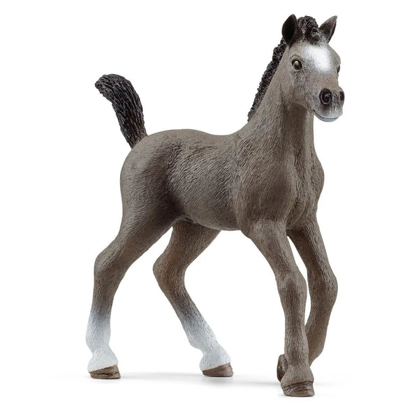 Schleich - Selle Français Foal 13957