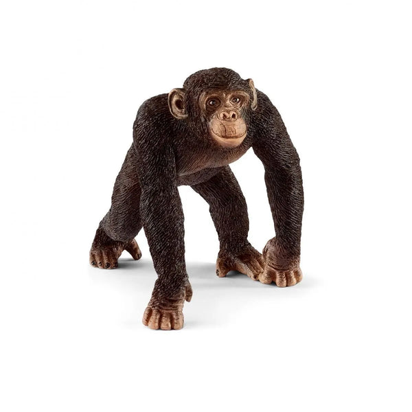 Schleich - Chimpanzee male 14817