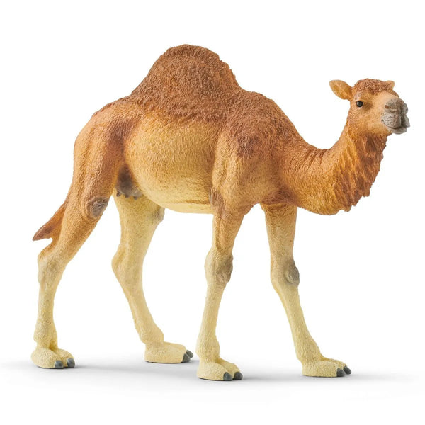 Schleich - Dromedary (Camel) 14832