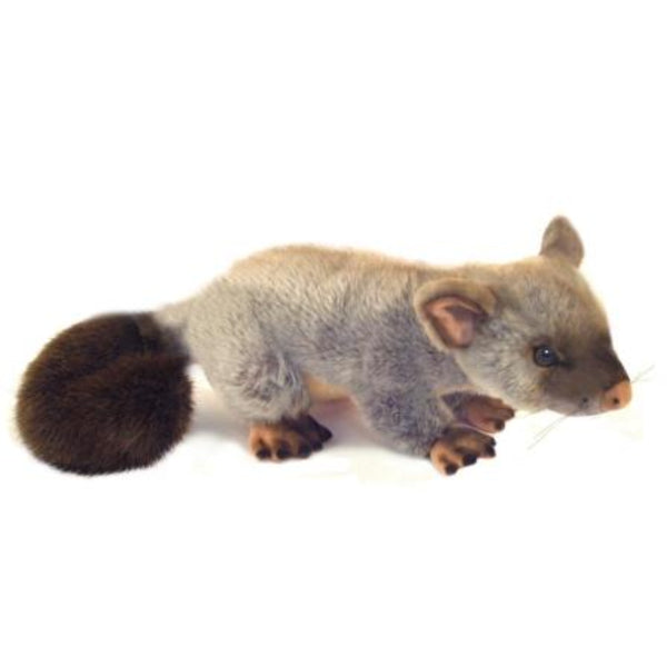 Bocchetta Plush Toys - "Zack" the Brushtail Possum
