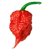 Mrs Green - Grow Your Own - Carolina Reaper Chilli