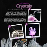 MiniLab Test Tube Growing Crystals