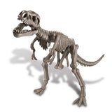 4m - KidzLabs - Dig A Dinosaur Skeleton - Tyrannosaurus Rex