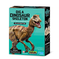4M - KidzLabs - Dig A Dinosaur Skeleton - Velociraptor