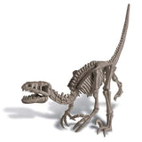 4M - KidzLabs - Dig A Dinosaur Skeleton - Velociraptor
