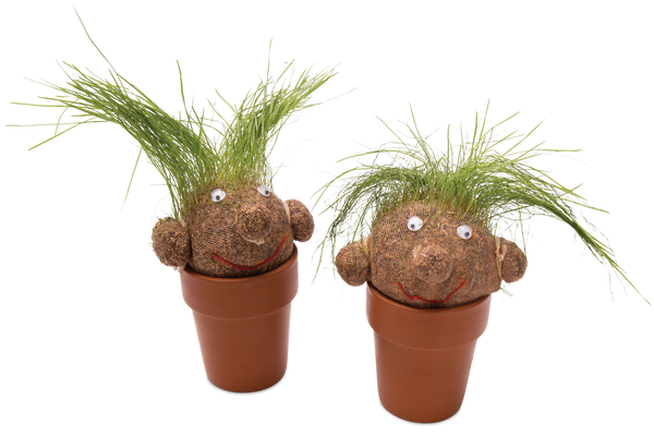 Mrs Green - Pot Head