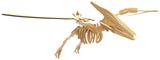Dinosaur Wood Kit - Large - Pteranodon
